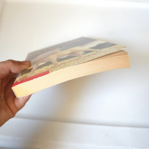 The Chronicles of Narnia: The Last Battle Book - Picture 4 of 7